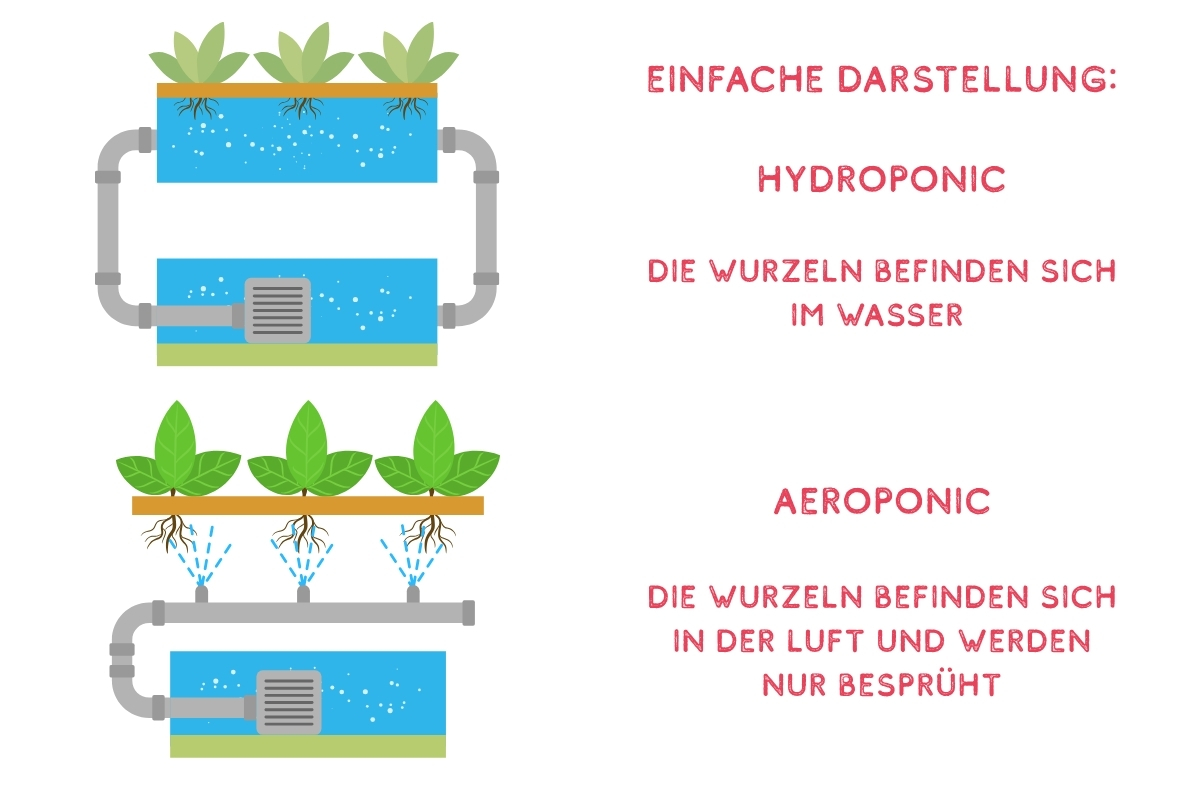 hydroponic