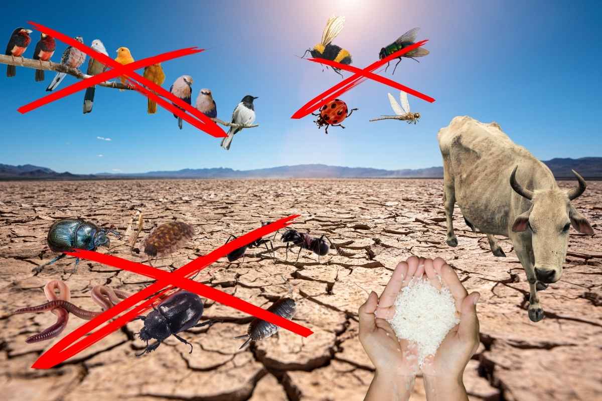 Landwirtschaft tötet die Umwelt