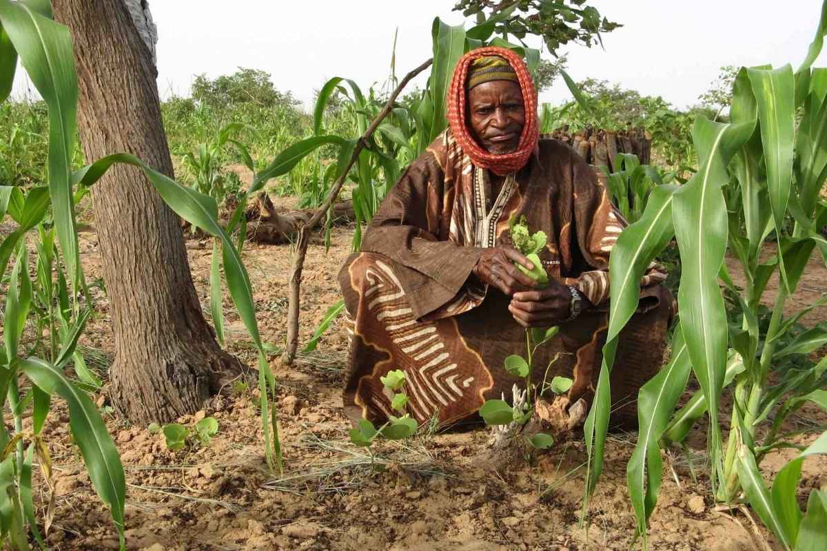 Farmer in seinem Feld