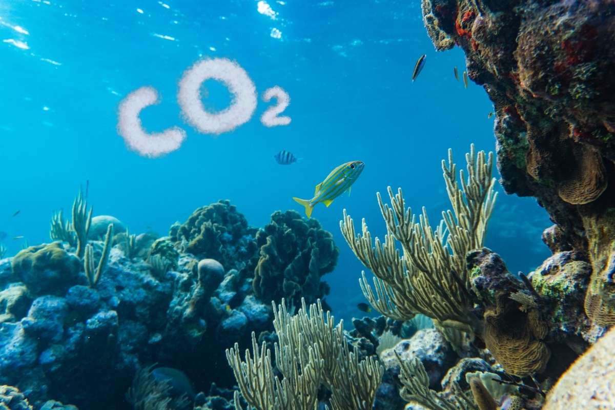 CO2 im Ozean