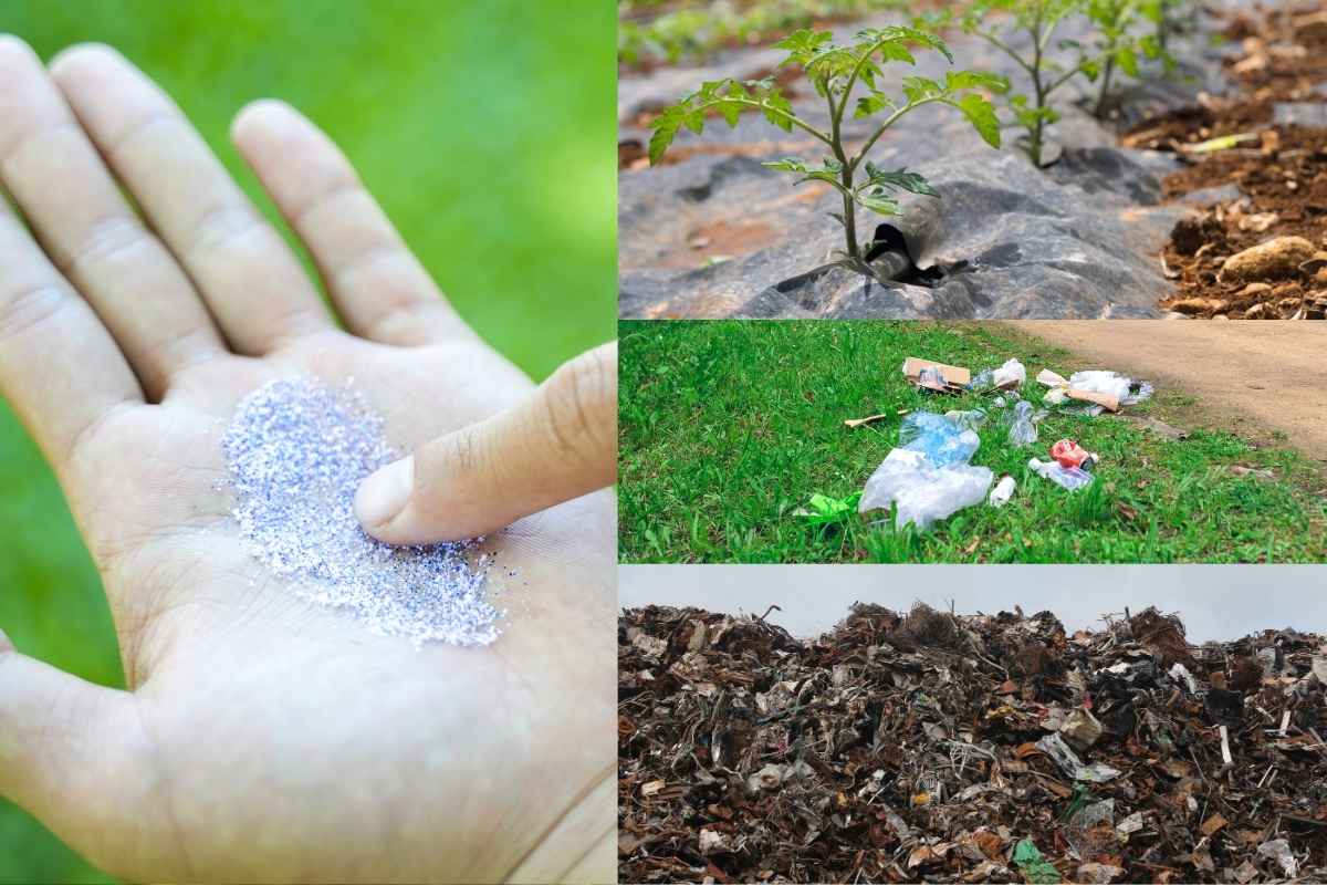 Mikroplastik Titel