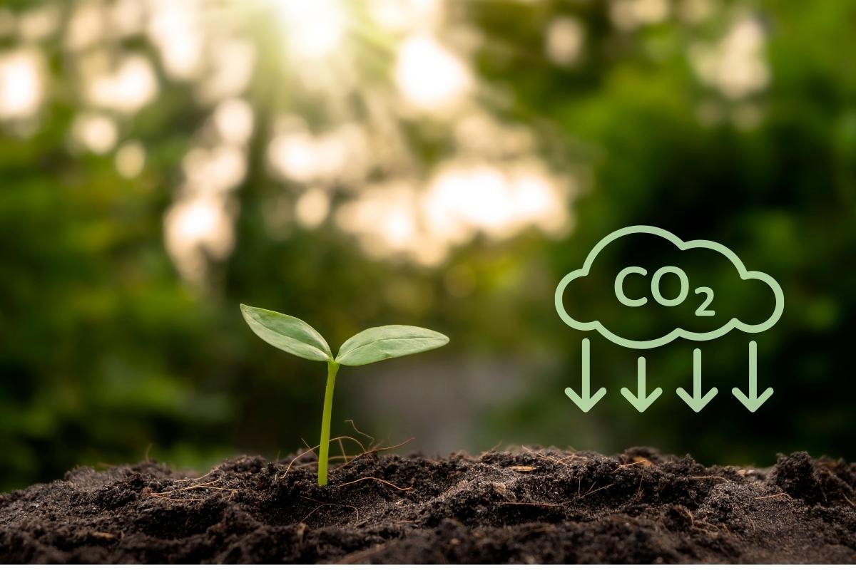 CO2 im Boden