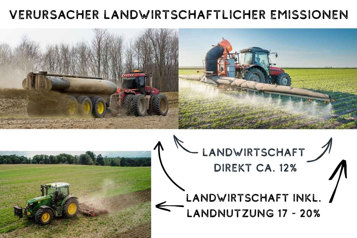 Rolle der Landwirtschaft