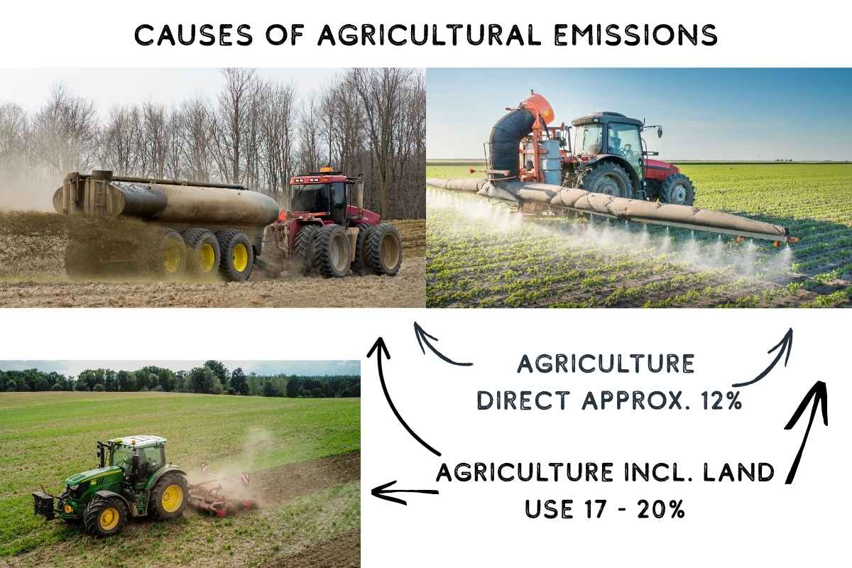 Rolle der Landwirtschaft