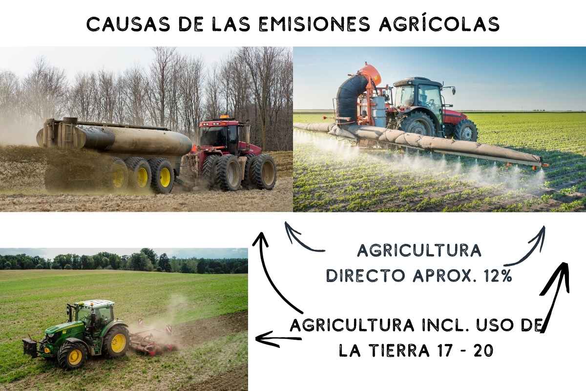 Rolle der Landwirtschaft