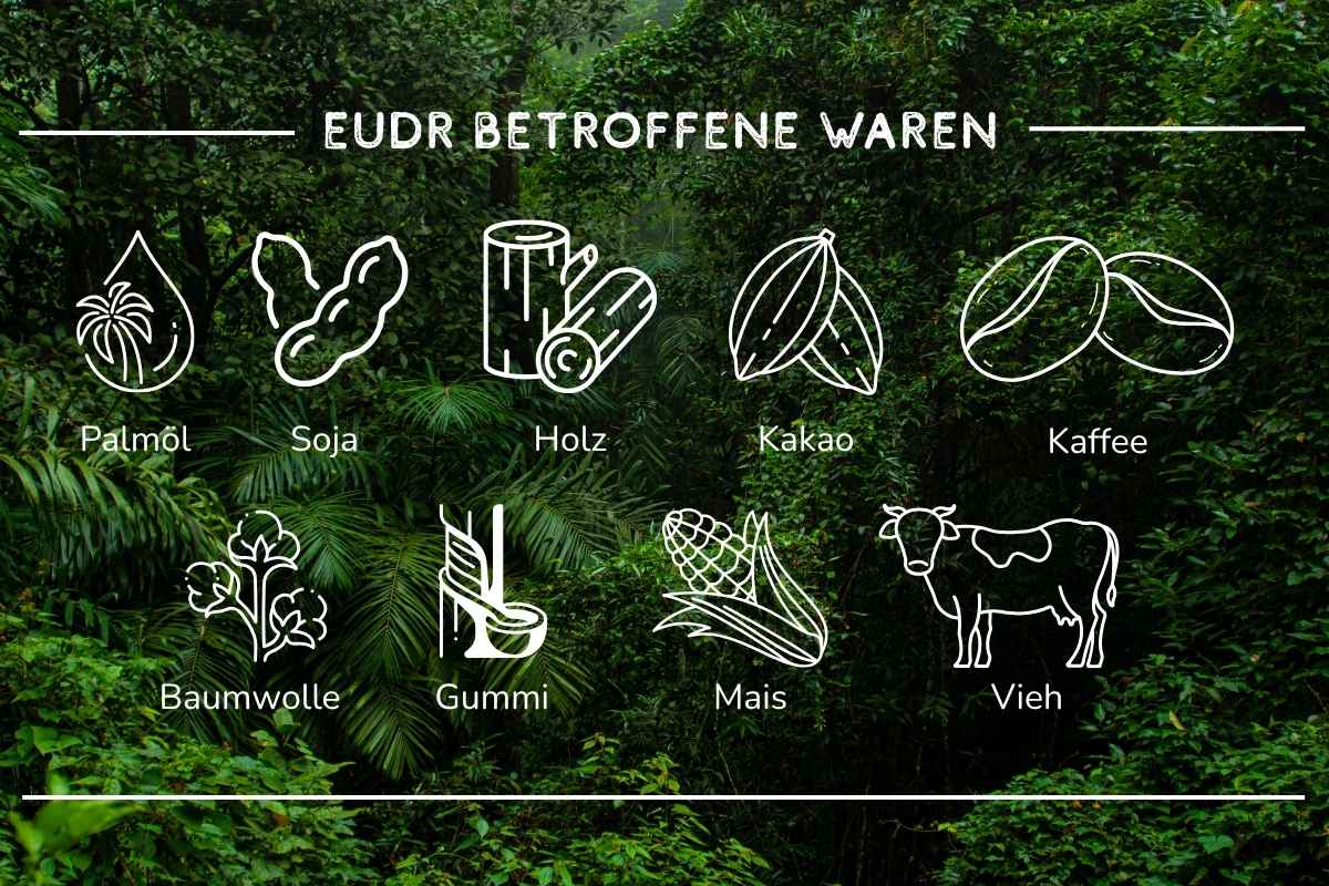 Entwaldungsfreie Lieferketten