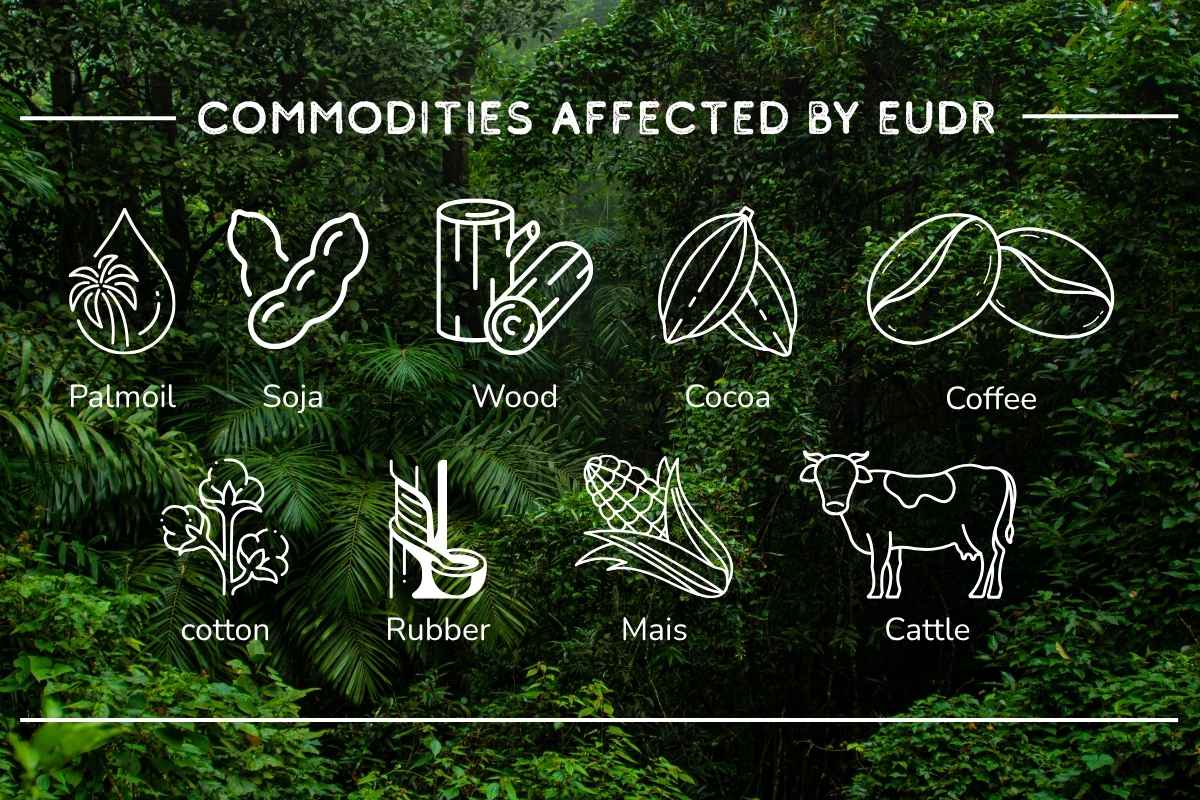 Entwaldungsfreie Lieferketten
