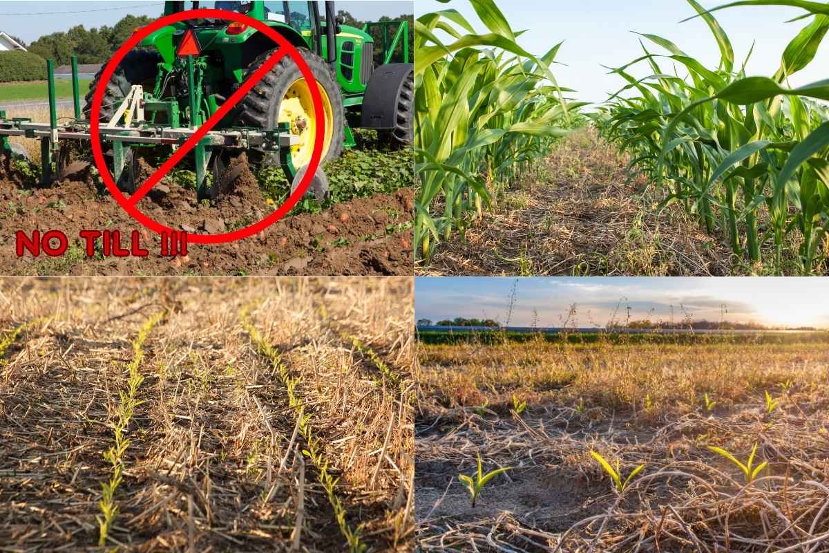 eine-eu-no-till-initiative