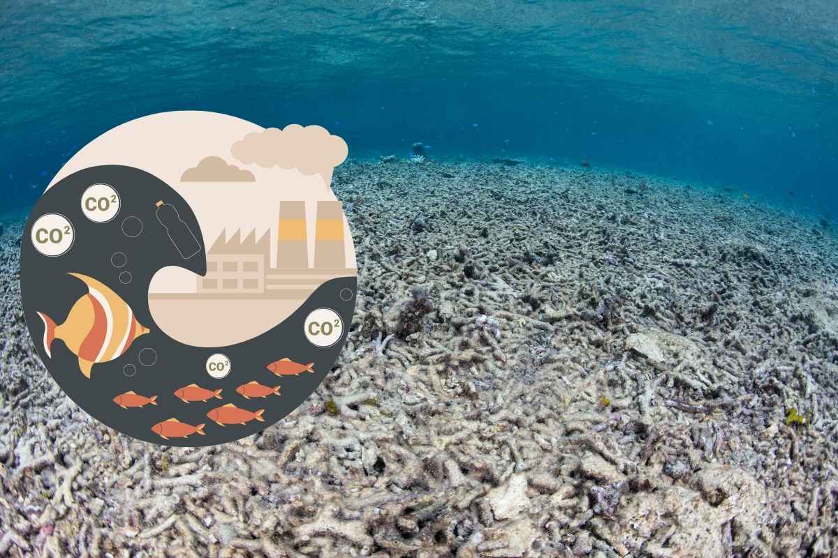 Ozeane zu retten Titel