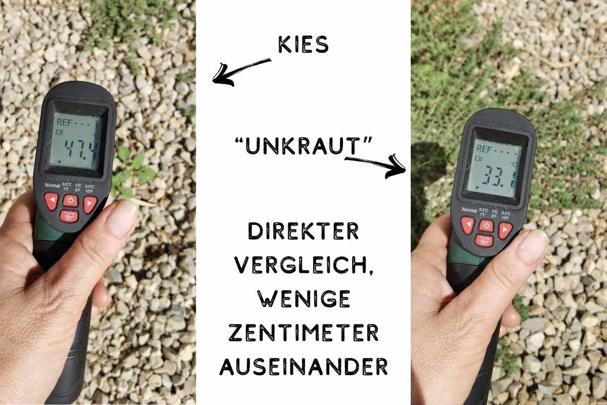 Temperatur Vergleich