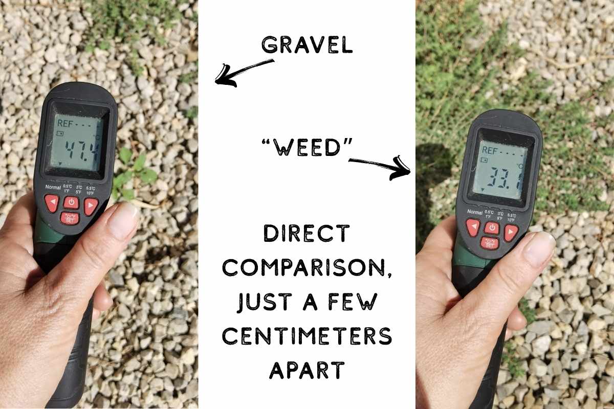 Temperatur Vergleich