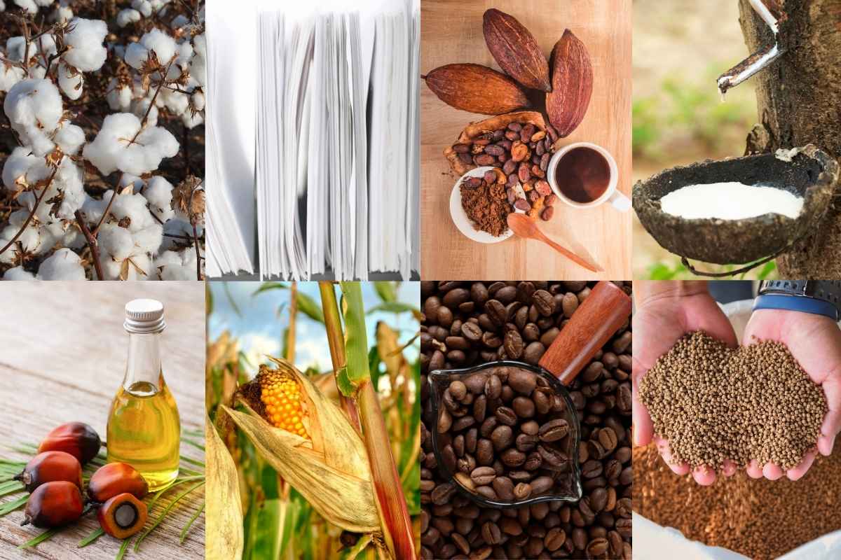 entwaldungsfreie Lieferketten